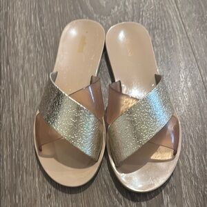 Stylish Silver and Nude Women's Slides